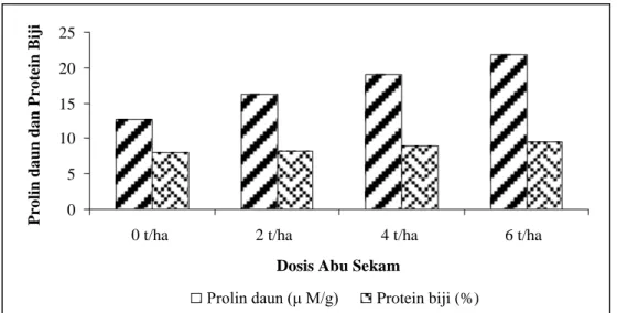 Gambar  2.  Pemberian  abu  sekam  pada  berbagai  dosis  pada  kondisi  80  persen  kapasitas  lapang terhadap kandungan prolin daun dan protein biji