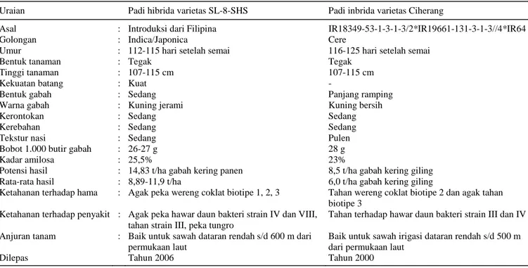 Tabel 1. Deskripsi padi hibrida varietas SL-8-SHS dan padi inbrida varietas Ciherang. 