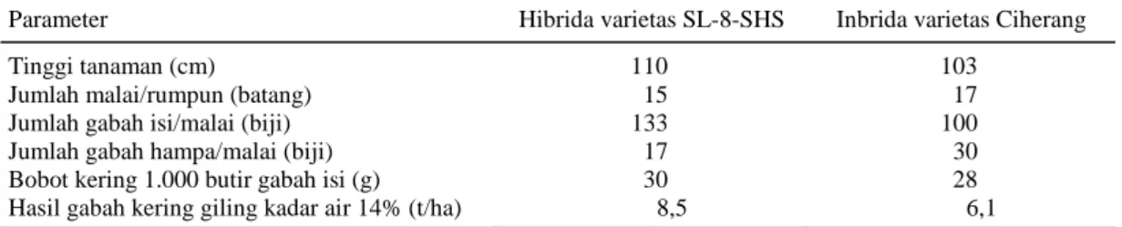 Tabel 3.  Produktivitas padi hibrida varietas SL-8-SHS dan padi inbrida varietas Ciherang di Kabupaten Pinrang,  Sulawesi Selatan, Juni-November 2007