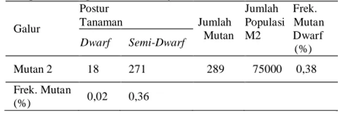 Tabel  4.    Hasil  seleksi  mutan  dwarf  dan  semi  dwarf  yang  muncul  pada  populasi  M2  hasil  mutasi  induksi  dengan sinar gamma 200 Gy 