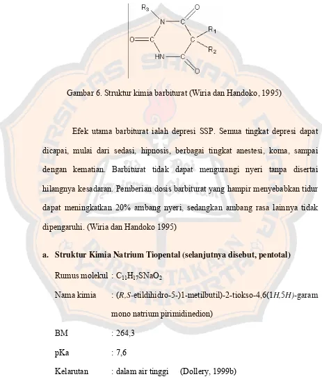 Gambar 6. Struktur kimia barbiturat (Wiria dan Handoko, 1995) 