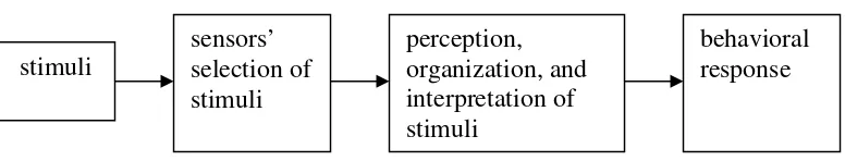 Figure 1. The perceptual process (Altman et al, 1985)