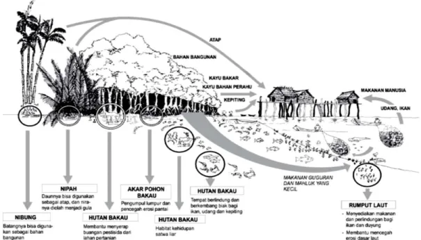 Gambar 2. Jaring-jaring makanan dan pemanfaatan mangrove di Indonesia                     (diadaptasi dari AWB-Indonesia, 1992) 