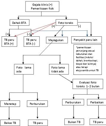 Gambar 2.2. Diagnosis TB pada dewasa28 