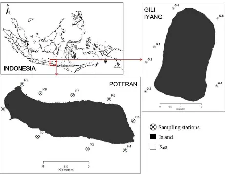 Figure. 1. The location and spatial distribution of the sampling station, “P “for Poteran and “G” for Gili Iyang waters 