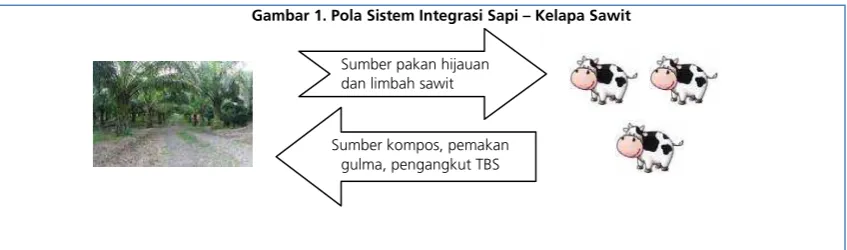 Gambar 1. Pola Sistem Integrasi Sapi – Kelapa Sawit 
