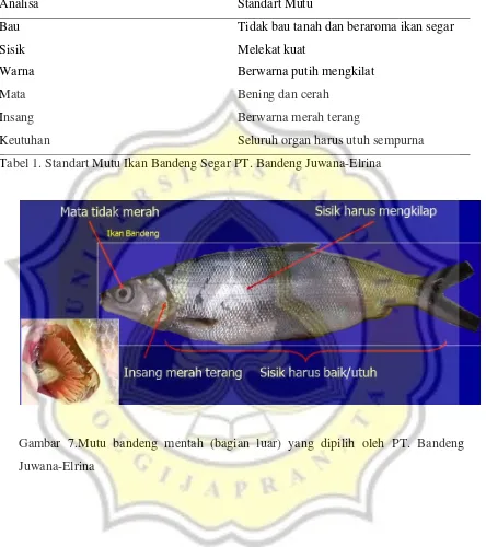 Tabel 1. Standart Mutu Ikan Bandeng Segar PT. Bandeng Juwana-Elrina 