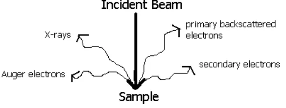 Gambar 2.7 Interaksi Antara Elektron dengan Permukaan Sampel 