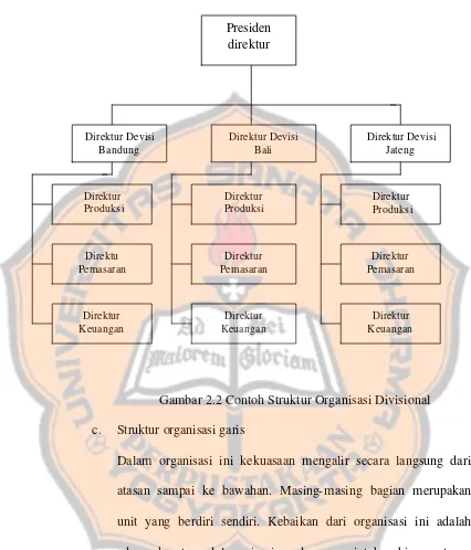Gambar 2.2 Contoh Struktur Organisasi Divisional 