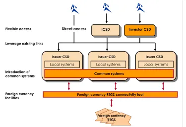 Figure 6: The “Common Platform Model” for Asia (elements in orange background represent new functions or common systems) 