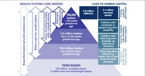 Figure 1. 135 million newborns and 15 million premature babies-health system needs and human capital outcomes around the year 2010