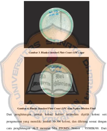 Gambar 3. Blanko Standard Plate Count (SPC) agar