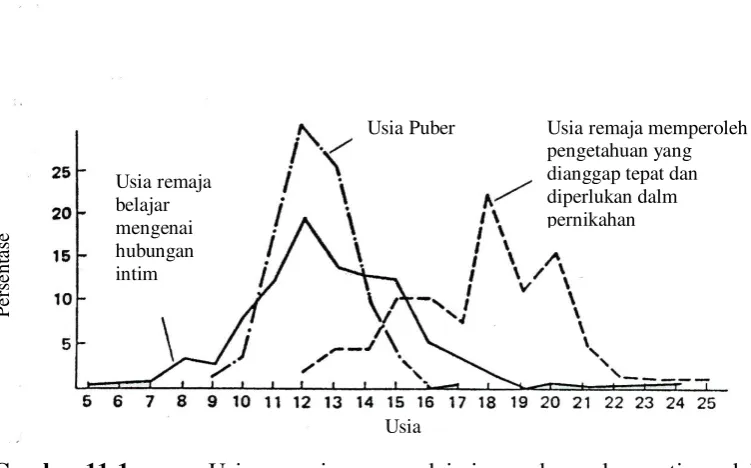 Gambar 11-1  