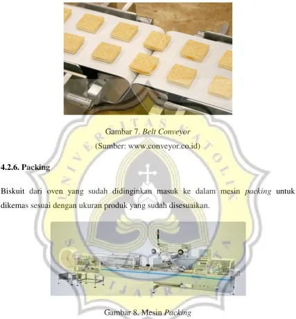Gambar 7. Belt Conveyor 