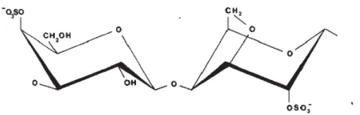 Gambar 2.2 Struktur kappa karagenan (D-galaktosa-4-sulphate 3,6-anhidro-D                     galaktosa) 