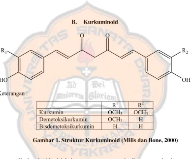 Gambar 1. Struktur Kurkuminoid (Milis dan Bone, 2000) 