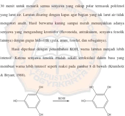 Gambar 8.  Reaksi uji pendahuluan senyawa floroglusinol dan KOH 