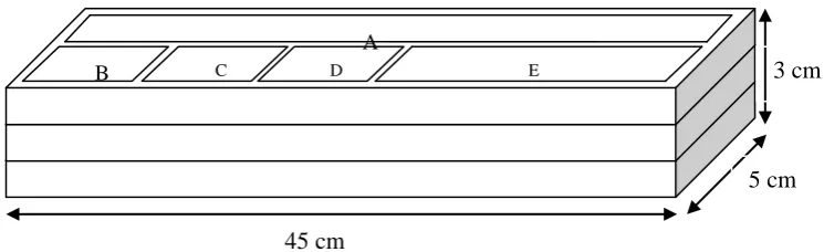 Gambar 2. Pola pemotongan permukaan contoh uji untuk pengujian 