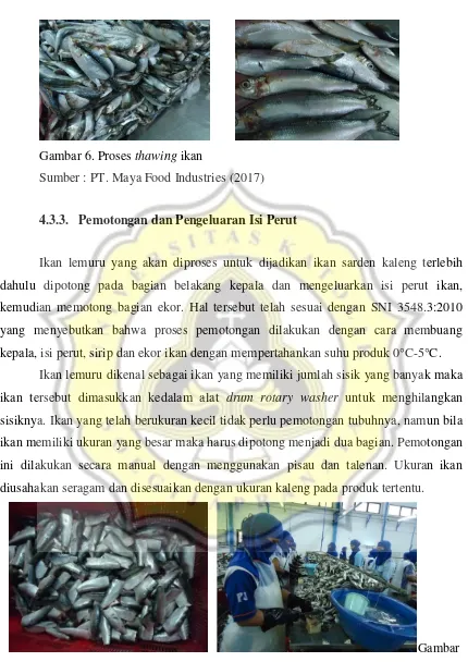 Gambar 6. Proses thawing ikan 