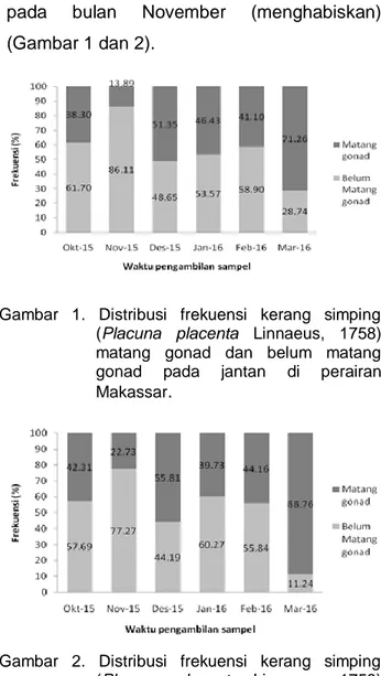 Gambar  2.  Distribusi  frekuensi  kerang  simping  (Placuna  placenta  Linnaeus,  1758)  matang  gonad  dan  belum  matang  gonad  pada  betina  di  perairan  Makassar