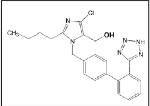 Gambar 1. Spektra normal kalium losartan pada kadar seri 1 (2,026 - 60,78 µg/ml)