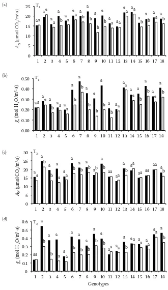 Fig. 1. Gas exchange parameters in pepper genotypes measured after (a, b) 2 months (T1 – vegetative stage) and (c, d) 5 months (T2 – reproductive stage) in the control (100% of ETc) and water stress (60% of ETc)AN – assimilation rate of CO2 fixation; gs – stomatal conductance to water vapour; values are means of 8 samples; for comparison of means, analysis of variance (ANOVA) followed by the least significant difference (LSD) test were performed and calculated at P ≤ 0.05 confidence level; values followed by different letters (on the top of the bars) indicate significant differences between control and water stress treatment