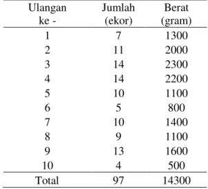 Tabel  3.  Hasil  Tangkapan  belut  (Monopterus  albus)  dengan  Menggunakan  mata  pancing ukuran 1 Berumpan katak  Ulangan   ke -  Jumlah  (ekor)  Berat   (gram)  1  2  300  2  2  100  3  3  300  4  3  400  5  4  500  6  2  400  7  3  300  8  5  600  9  
