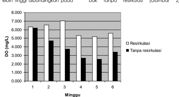 Gambar 2.  Diagram  batang  konsentrasi  oksigen  terlarut  (mg/L)  pada  air  media  pemeliharaan  benih  udang  windu  (P