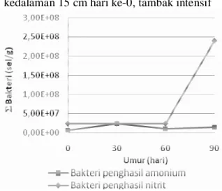 Gambar  5.  Peningkatan  kelimpahan  bakteri  penghasil  nitrit  dan  amonium  seiring  dengan  bertambahnya umur udang (Hastuti, 2010)