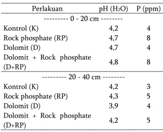 Tabel 1. P tersedia dan pH pada  topsoil  (0-20 cm)  dan  subsoil  (20-40 cm)  Perlakuan  pH (H 2 O)  P (ppm)   --------- 0 - 20 cm --------  Kontrol (K)  4,2  4  Rock phosphate (RP)   4,7  8  Dolomit (D)  4,7  4 