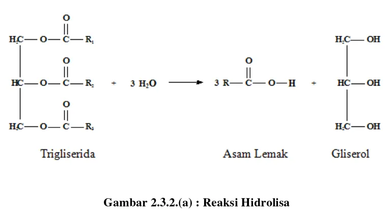 Gambar 2.3.2.(a) : Reaksi Hidrolisa 