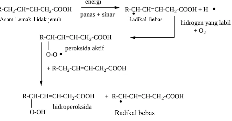 Gambar 2.3.2(b) : Reaksi Oksidasi 