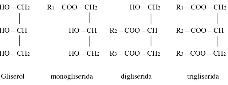 Gambar 2.1.3. molekul asam lemak dalam bentuk ester 