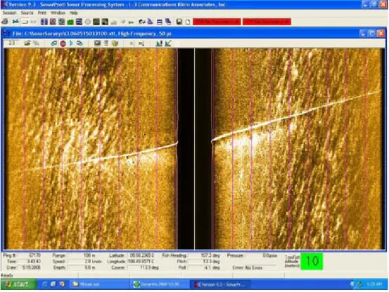 Gambar 7. Hasil rekaman sidescan sonar yang melintas pipa bawah laut di lokasi penelitian.