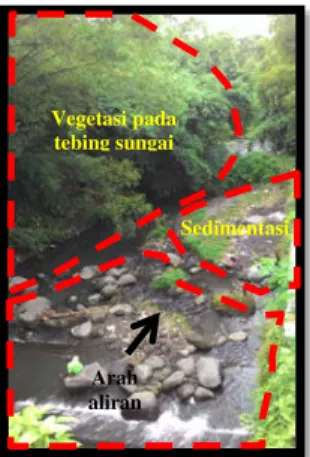 Gambar 7 Vegetasi pada tebing Sungai Code penggal  Banteng-Gondolayu DI Yogyakarta (Kel