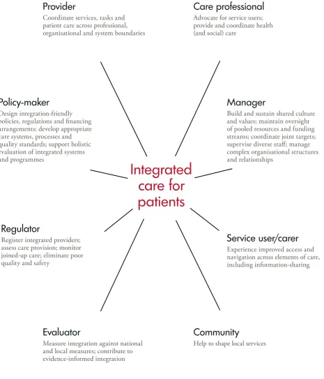 Figure 1: Perspectives shaping integrated care