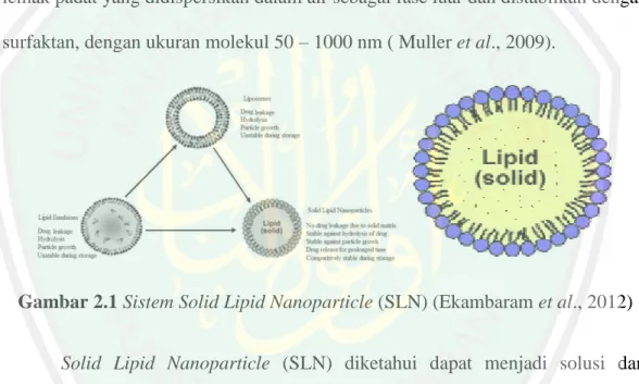Gambar  2.1 Sistem Solid Lipid Nanoparticle (SLN) (Ekambaram et al., 2012) 