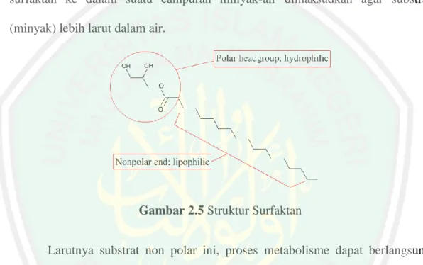 Gambar  2.5 Struktur Surfaktan 