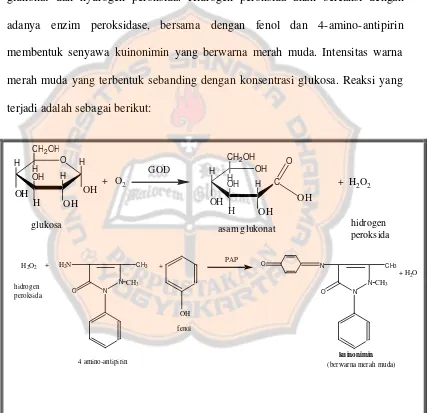 Gambar 4. Reaksi enzimatik antara glukosa dan reagen GOD-PAP(DiaSysy, 2006) 