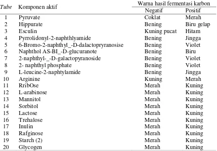Tabel 4.  Warna sumber karbon pada API 20 STREP test kit berdasarkan hasil fermentasi (Negatif dan Positif)  