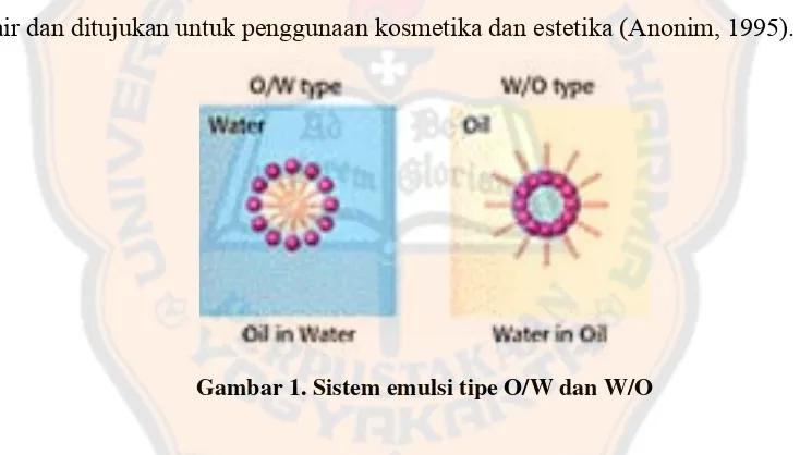 Gambar 1. Sistem emulsi tipe O/W dan W/O 