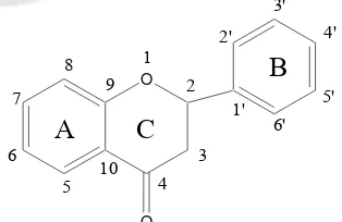 Gambar 2. Kerangka dasar flavonoid           
