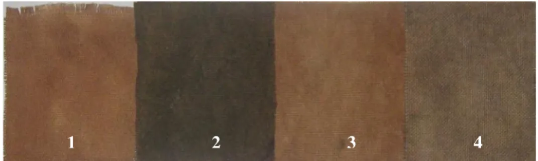 Gambar 1. Bahan Kain yang diwarnai: pembangkitan warna (1), dengan FeSO 4 (2), tawas (3), dan kalium bikromat (4)