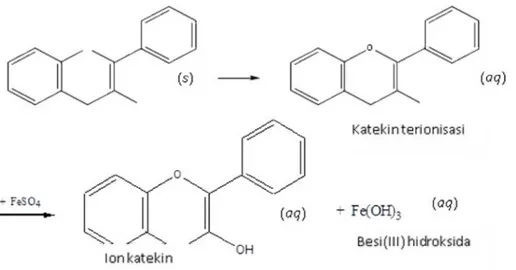 Gambar 2. Reaksi Katekin dengan FeSO 4 (Dokumen Penelitian, 2008).