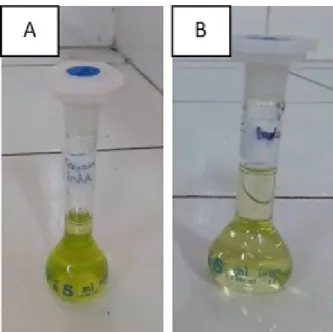 Gambar 2. Hasil ekstraksi tanaman induk (A) dan kultur pucuk (B)profil  spektrum  yang  dihasilkan  oleh  ekstrak 