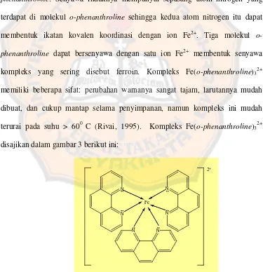 Gambar 3 . Kompleks [Fe(o-phenanthroline)3] 2+ (Rivai, 1995) 