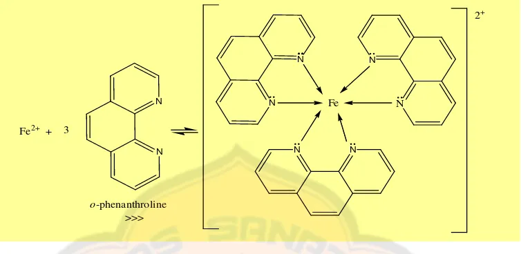 Gambar 6. Reaksi pembentukan senyawa kompleks [(C12H8N2)3Fe]2+ (Day and Underwood, 