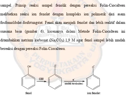 Gambar 6. Oksidasi fenol dalam suasana basa 