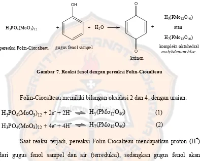 Gambar 7. Reaksi fenol dengan pereaksi Folin-Ciocalteau 