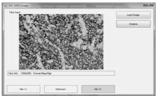 Fig. 5. Contoh Pengujian Citra IHC HER2 